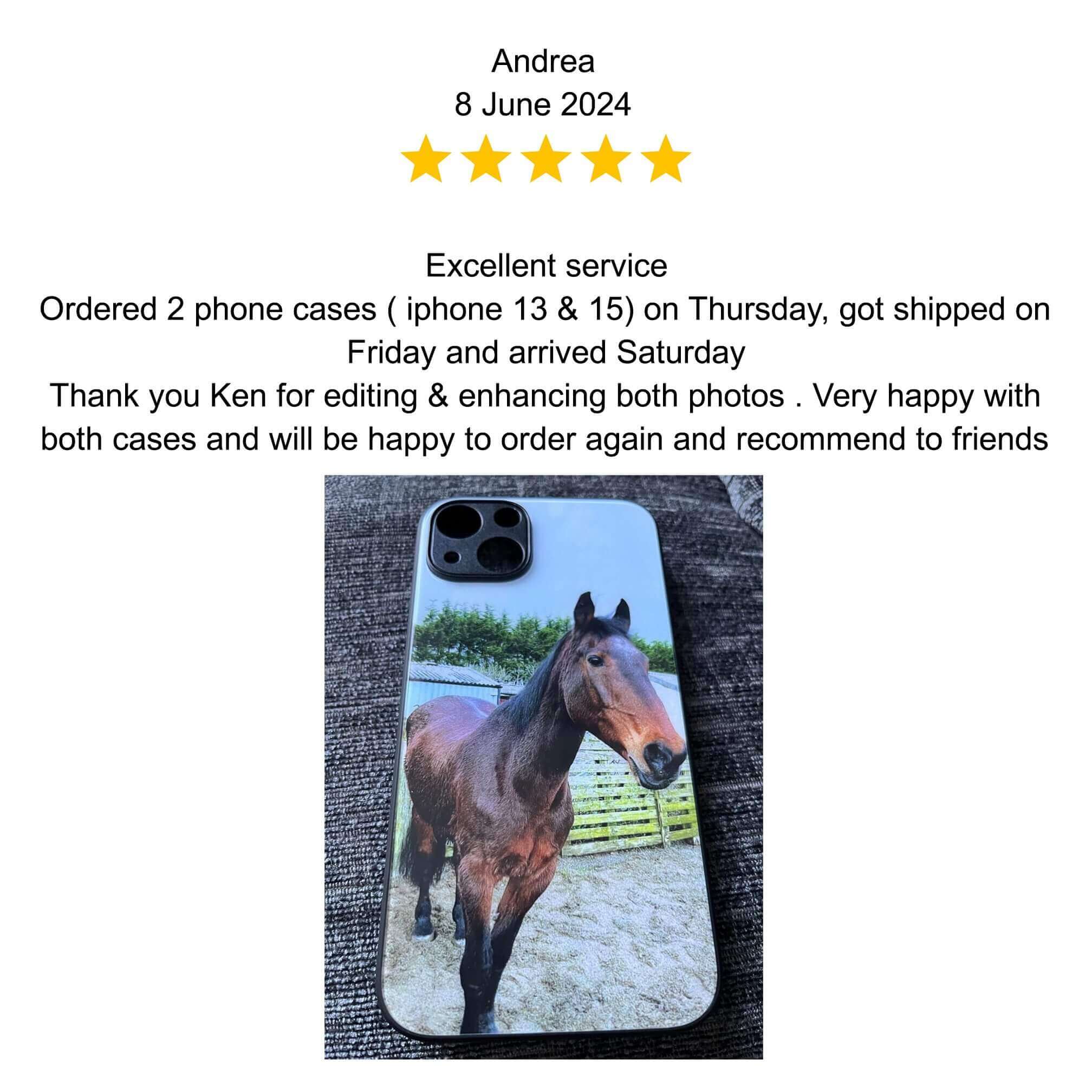 A happy dog named Andrea with a stick, outdoors in a sunny area.